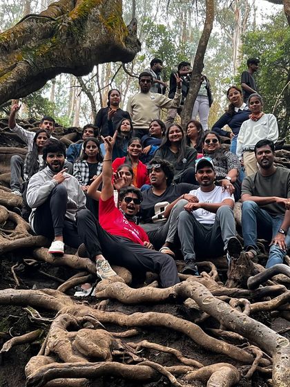 The whole group having fun on the giant tree roots.