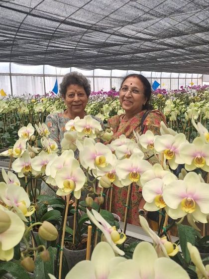 Two wonderful orchid lovers visiting our farm. We love having fellow enthusiasts visit and share their passion for these beautiful plants with us.