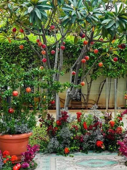 An intimate event deserves just as much imagination. We transformed a simple setting into 'दाड़म ka Bageecha' (a pomegranate garden), using rich colors, fresh fruits, and vintage props to create a photo corner that felt like a vibrant, bountiful paradise.
