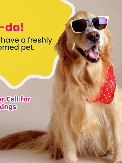 And just like that, you have a happy and freshly groomed pet! Our goal is to make your pet look and feel fantastic without any of the usual hassle.
