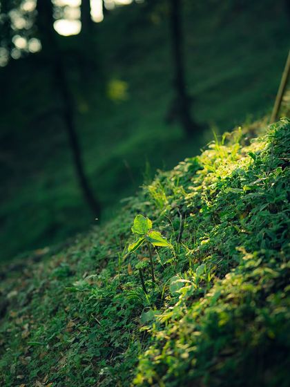 Garima Bhaskar - Photo & Video Editing Presets Aqua: Moody Blues & Greens for Travel photo 43