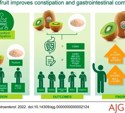 If you suffer from constipation or IBS, here's a simple, natural solution. A study found that eating two green kiwifruits a day was more effective at improving bowel movements and gastrointestinal comfort than psyllium husk (Isabghol).