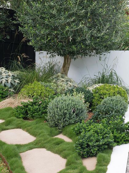 An informal path of flagstones set among Zoysia grass. This creates a soft, naturalistic look that is comfortable to walk on and visually interesting.