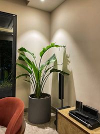 Interior Plantscaping & Design