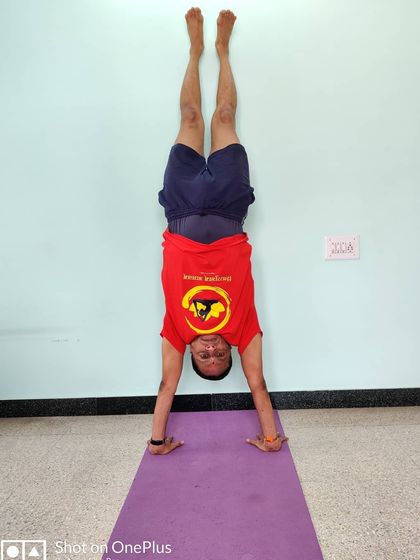 Adho Mukha Vrikshasana (Handstand) against a wall. The wall provides safety and support, allowing you to build the shoulder and arm strength necessary for balancing.