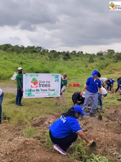 The Honeywell team during their plantation day in Pune, which included a nature walk along a waterway before the planting began. This holistic approach connects volunteers to the broader landscape they are helping to restore.