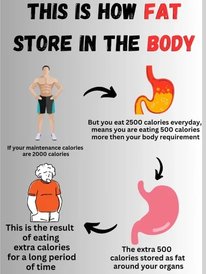 This visual explains how excess calories are stored as fat in the body over time. Understanding this process is the first step toward making conscious choices to prevent it.