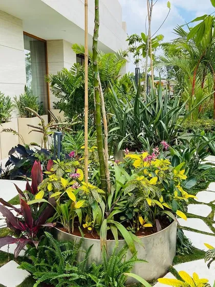 A close-up of a lush terrace garden we designed for a residence in Bangalore. We use a variety of plant species with different colors, textures, and heights to create a dense, tropical feel, complete with custom planters and a natural stone pathway.