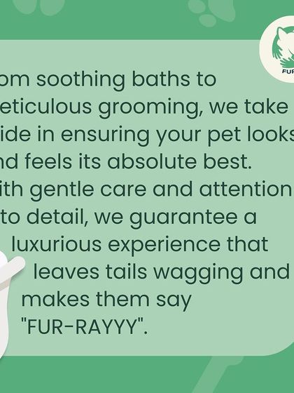 Furever Safe - Mobile Pet Grooming About Furever Safe photo 5