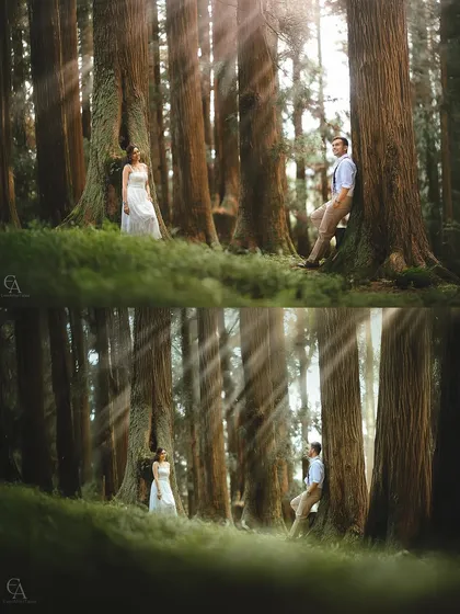 A diptych composition showing the couple in the same forest setting, creating a sense of connection even when apart. This artistic portrait style tells a story of two individuals becoming one.