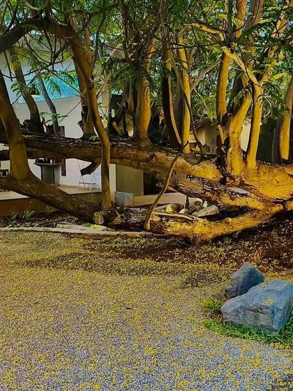 Ecoscapes Landscaping - Comprehensive Landscaping Services Grand Residential Estates photo 17