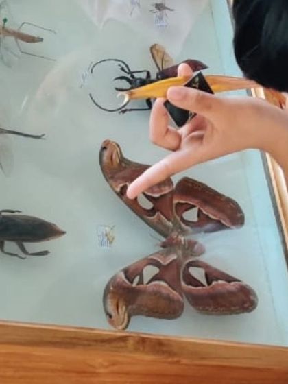 The Earth School - Montessori Primary & Elementary Program The World is Our Classroom photo 18