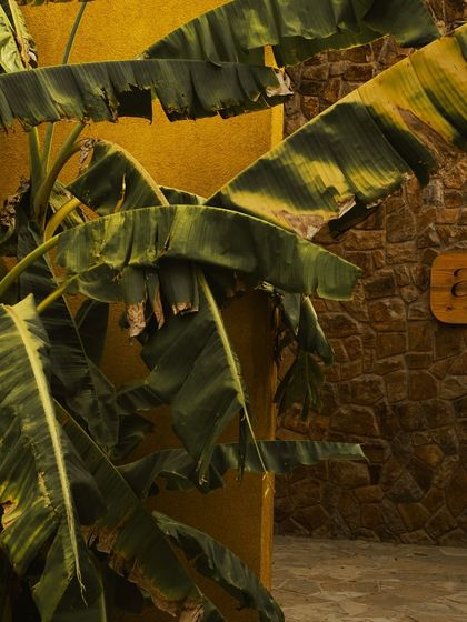 The Anvaya sign against a backdrop of stone and tropical plants, welcoming you to our serene retreat.