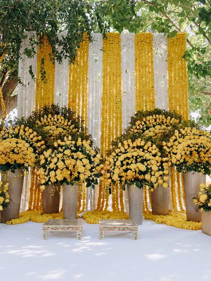 Vibrant Haldi & Mehendi Functions photo 17