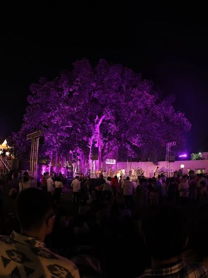 A wide shot of the Jazz Weekender at night, showing the scale of the event. You can see the stage, the crowd, and the food and drink stalls, all part of the complete festival ecosystem we manage.