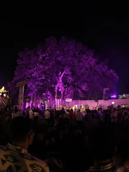 A wide shot of the Jazz Weekender at night, showing the scale of the event. You can see the stage, the crowd, and the food and drink stalls, all part of the complete festival ecosystem we manage.