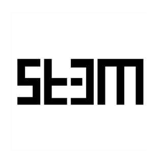 ST-EM Architecture