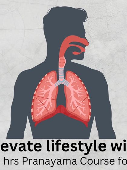An illustration showing the respiratory system, highlighting the core focus of our 50-hour Pranayama course. We teach you how to use yogic breathing to increase oxygen intake and balance your energy.