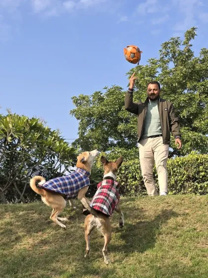 A perfectly timed photo of me playing ball with Jumper and Pari. Using the natural inclines of our farm for play adds an extra layer of exercise and fun for the dogs.