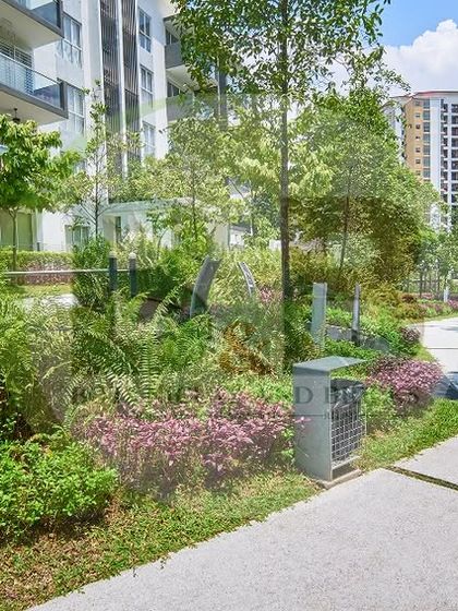 A lush, green walkway in a residential community. This landscape features dense, layered plantings with a variety of textures and colors, creating a natural and immersive environment for residents.