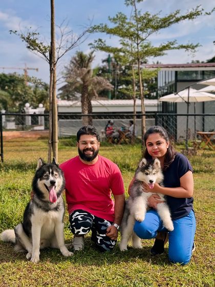 The Pawsome Camp - Dog Park & Pool Paws & People: A Community of Dog Lovers photo 12