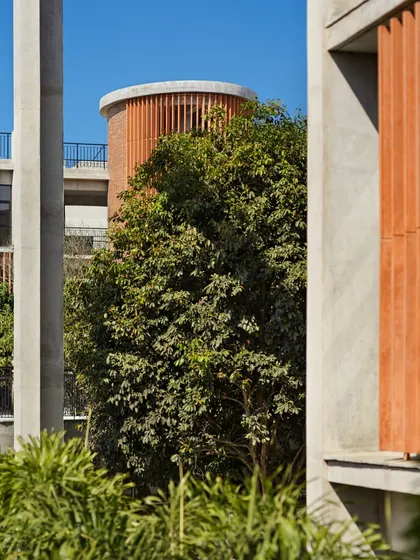 The interplay of light, nature, and materials can quietly lift our spirits. In this school, a sunlit corner framed by concrete pillars and lush greenery creates a moment of ease and engagement, demonstrating how thoughtful design crafts positive everyday experiences.