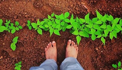 Standing barefoot on the earth is a simple, powerful way to remember our mortality. Connecting with the soil builds a physical memory that this life is a brief and precious opportunity.