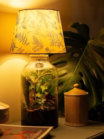 My lamp terrarium is a perfect example of biophilic design, blending nature with everyday objects. The warm light illuminates the tiny jungle within, creating a magical effect.