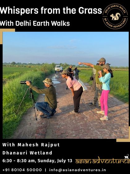 Moments From Our Walks photo 9