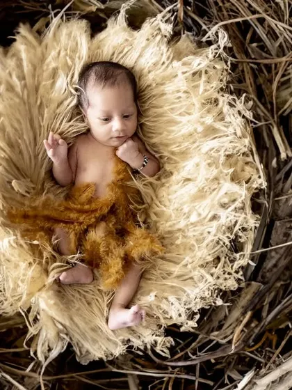 A tiny new bird resting in a cozy, oversized nest. This overhead shot emphasizes the baby's smallness and the intricate, rustic texture of the nest prop for a beautiful nature-themed photo.