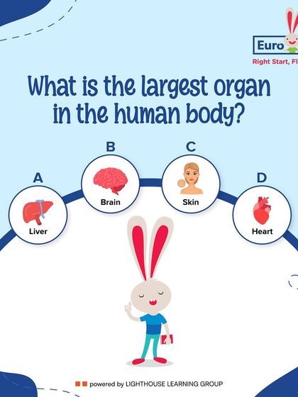 EuroKids - Children's Holiday Camps Learning Through Play & Exploration photo 31