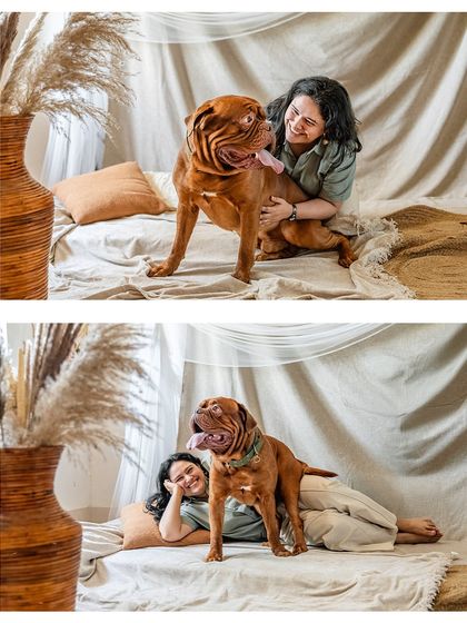A collage showing the gentle giant Romi the Mastiff and his mom during their home studio session. These photos highlight his sweet nature and the loving bond they share.