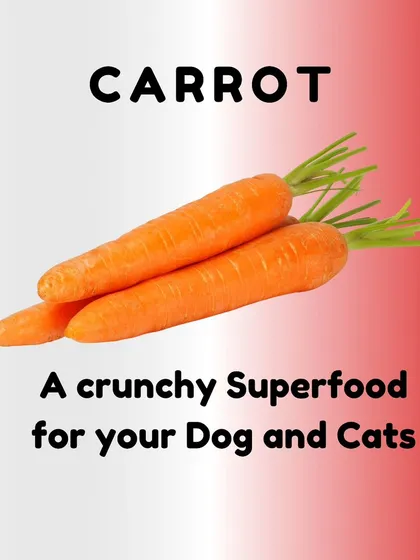 Carrots are another key vegetable in my kitchen. They are a great source of Vitamin A for eye health, act as a natural toothbrush with their crunch, and provide fiber for good digestion.