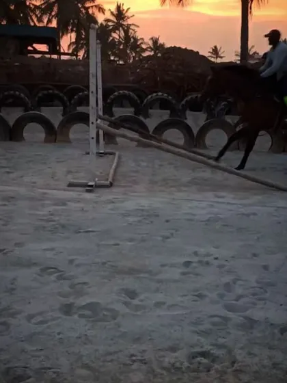 A rider and horse clear a jump against the beautiful sunset backdrop. Our arena is set up for show jumping practice for riders of various skill levels.