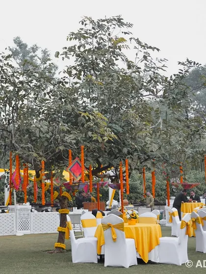 A wide shot of the outdoor Haldi venue, showing the guest seating area surrounded by lush greenery.
