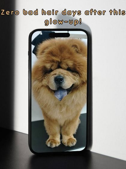 Oh My Dawg - Pet Grooming Services Grooming Glow-Ups: Before & After photo 4