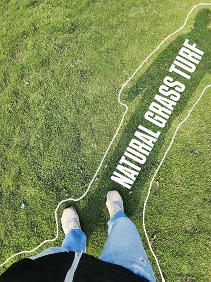 Delhi Gardner - Full-Service Landscaping Premium Lawn & Turf Solutions photo 37