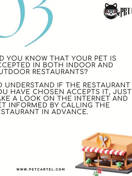 Pet Cartel - Pet Transportation & Dog Walking Safe Pet Taxi & Travel Planning photo 4