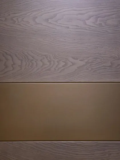 A beautiful example of how different materials can work together. This door combines a light, grainy wood veneer with a smooth, metallic-painted panel for a sophisticated contrast.