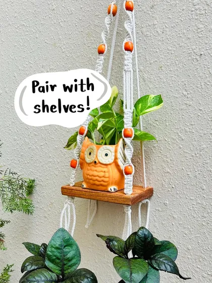 Our little ceramic owl planters are a customer favorite. Not only are they adorable, but they are also believed to bring good luck. This one is shown paired with a macrame shelf, a great way to display your small indoor plants and add personality to your walls.