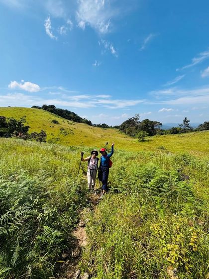 Two trekkers with poles, hiking through the tall grass.