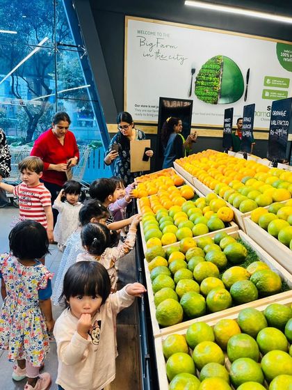 Knowledge Origin - Preschool & Kindergarten Programs Learning Beyond Our Walls: Field Trips & Nature Exploration photo 34