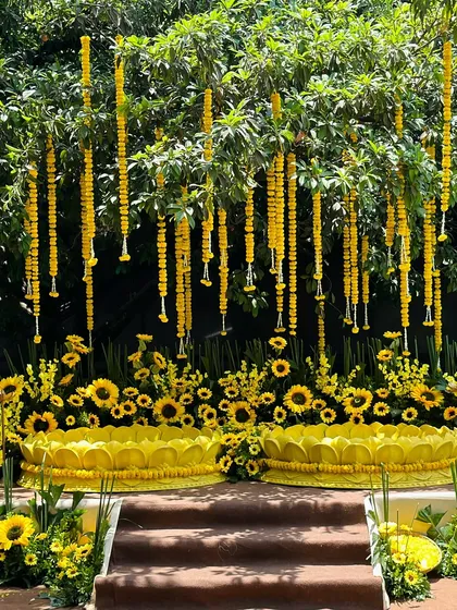 The complete seating arrangement for the Haldi ceremony, framed by hanging marigold garlands and beds of bright sunflowers.
