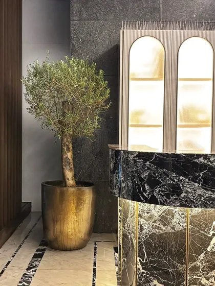 Nothing says festive and glamorous like a beautiful Olive Tree in a metallic pot. This setup, placed on a client's deck, adds a touch of sophistication and is perfect for getting any space ready for a celebration.