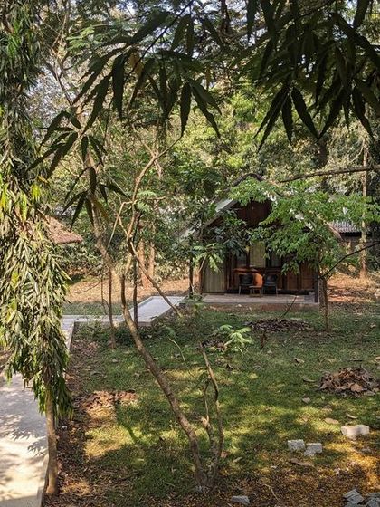 A view of the pathways and cottages at Kali Adventure Camp, showing how the accommodations are spread out within the lush green property.