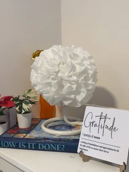 We practice gratitude every day. This little corner serves as a reminder to appreciate our journey and each other.