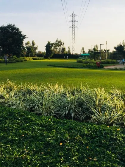 A view of a large, open lawn bordered by diverse ground cover and shrubs, illustrating our approach to creating layered, textured green spaces.
