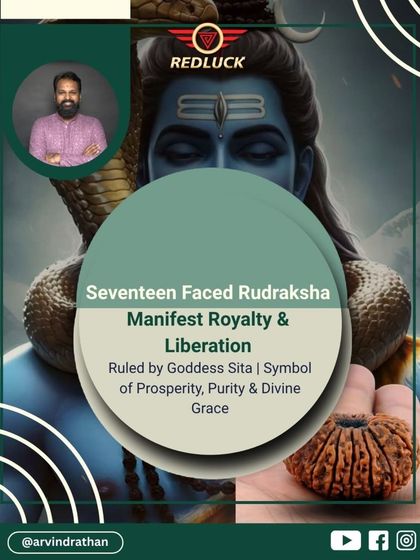 Arvind Rathan - Personalized Spiritual Remedies Personalized Rudraksha Recommendations photo 91