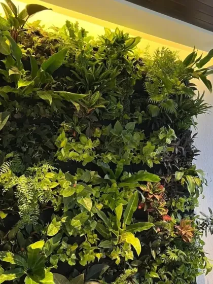 This dense, jungle-themed green wall brings the richness of a tropical forest indoors. We used a diverse mix of ferns, broadleaf plants, and trailing vines to create varied textures and shades of green, enhanced by warm overhead lighting.