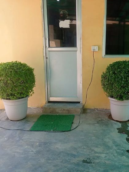 Statement Bonsai & Large Trees photo 26